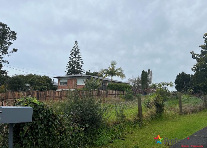 For sale 98 Hepburn Road, Glendene, Waitakere City, Auckland homes