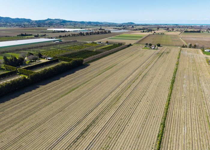  at 49 O'Grady Road, Waerengaahika, Gisborne, Gisborne
