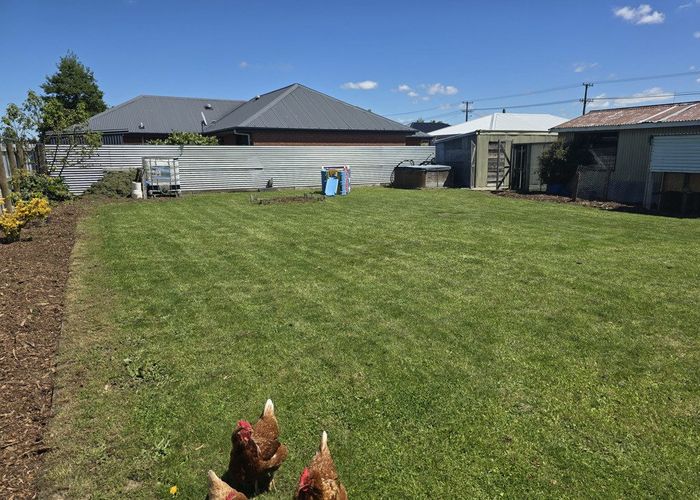  at 109 Thomson Street, Tinwald, Ashburton
