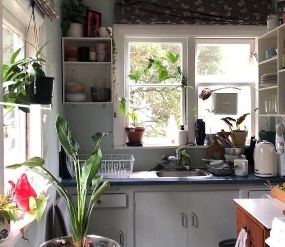  at 58C Norway Street, Aro Valley, Wellington