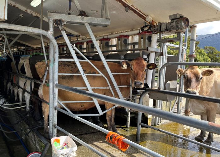  at 694-778 Waitaha Road, Ross, Westland, West Coast