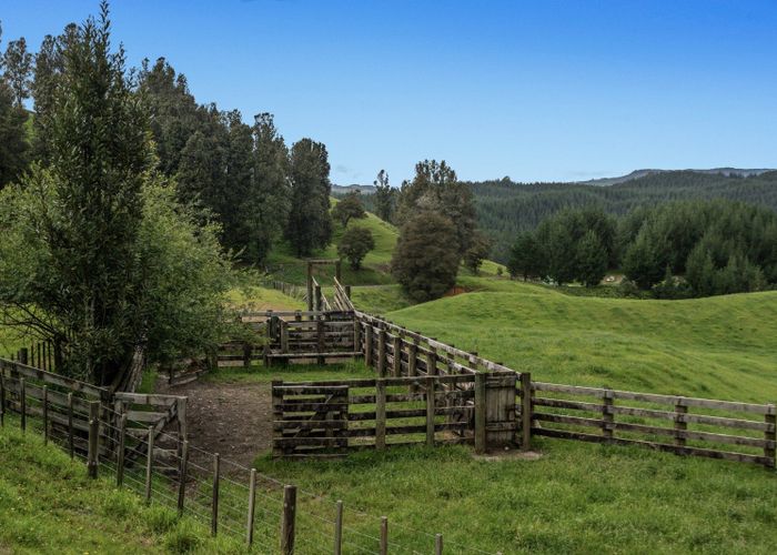  at 26 Settlement Road, Pikowai, Whakatane, Bay Of Plenty