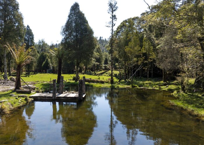  at Awakiri River, Charleston, Buller, West Coast