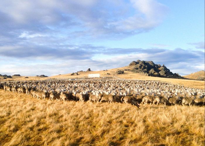  at 1109 Little Valley Road, Alexandra, Central Otago, Otago