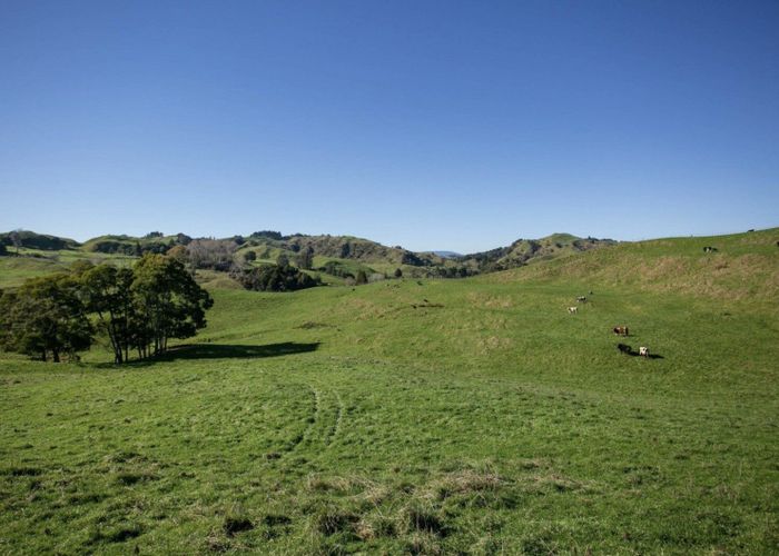  at 154 State Highway 3, Te Kuiti, Waitomo, Waikato