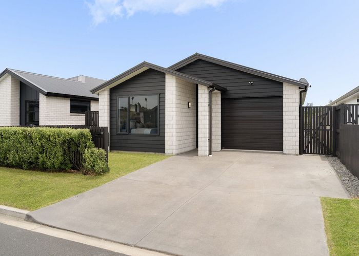  at 19 Hinaki Street, Poike, Tauranga, Bay Of Plenty