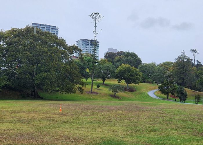  at 1/79 Beresford Street West, Freemans Bay, Auckland City, Auckland