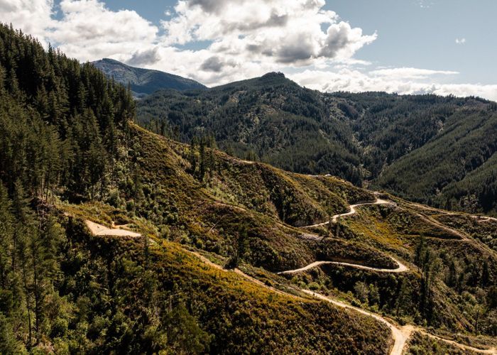  at 990 Motueka River West Bank Road, Motueka, Tasman, Nelson / Tasman