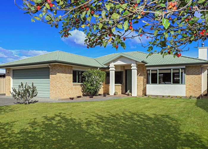  at 12 Pinotage Drive, Greenmeadows, Napier