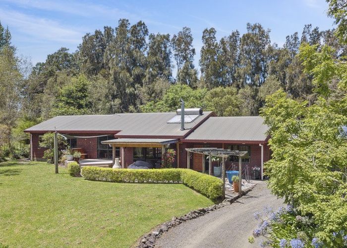  at 17 Lascelles Drive, Albany