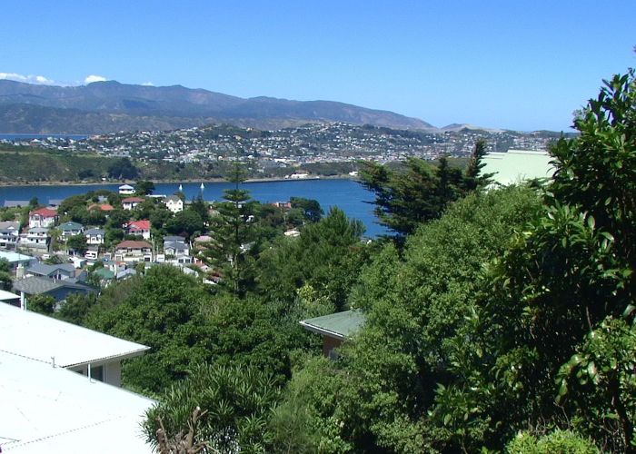  at 60 Marewa Road, Hataitai, Wellington, Wellington