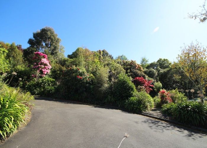  at 8A Croydon Street, North East Valley, Dunedin