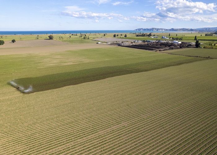 at 0 Willows Road, Matawhero, Gisborne, Gisborne