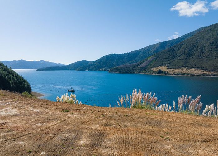  at 815 Manaroa Road, Marlborough Sounds, Marlborough, Marlborough