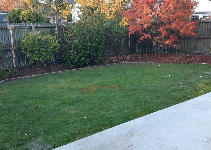  at 24 Stratford Street, Merivale, Christchurch