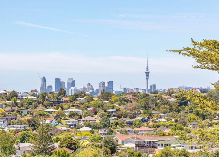  at 93 Coronation Road, Hillcrest, Auckland