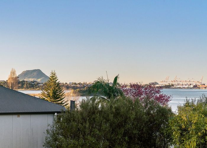  at 52 Churchill Road, Judea, Tauranga, Bay Of Plenty