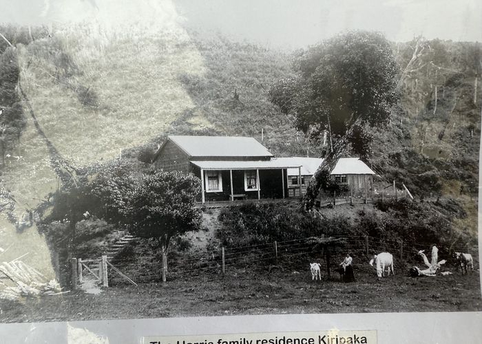  at 1169 Ngunguru Road, Whangarei