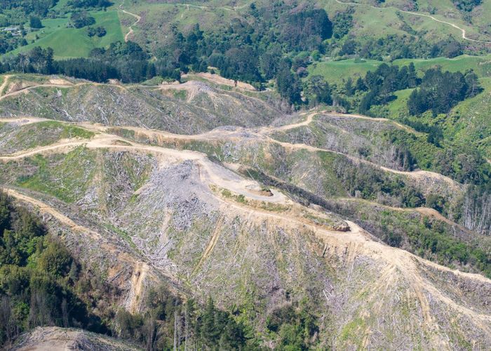  at 170 Mangaone North Road, Te Horo, Kapiti Coast, Wellington
