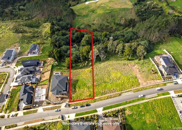  at 25 Michael Bosher Way, Flat Bush, Manukau City, Auckland