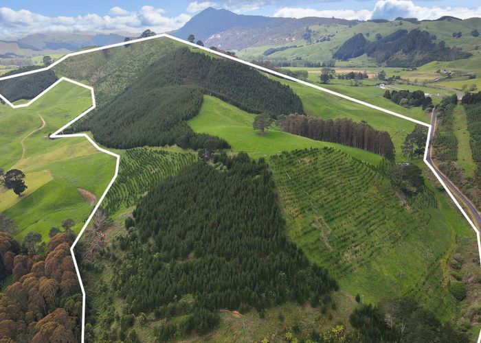  at 1448 Te Kopia Road, Waikite Valley, Rotorua, Bay Of Plenty