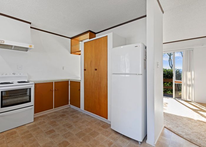  at 111 Hynds Road, Gate Pa, Tauranga
