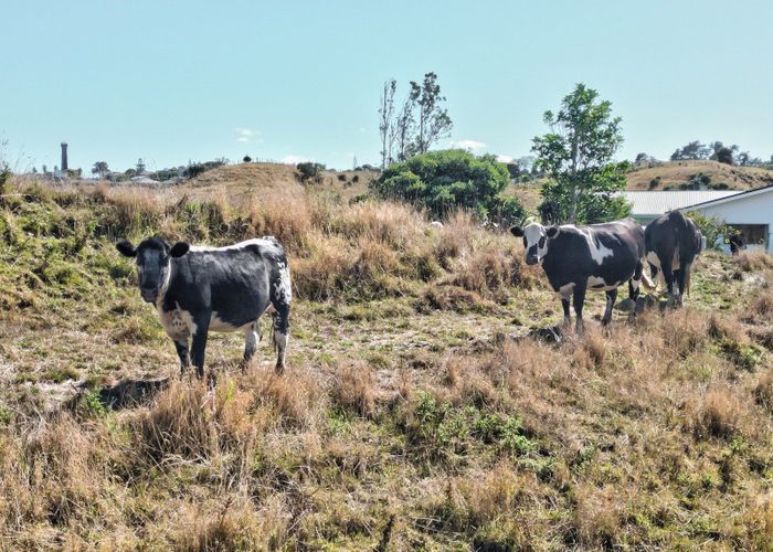  at 47 Ngatarua Road, Putiki, Whanganui, Manawatu / Whanganui