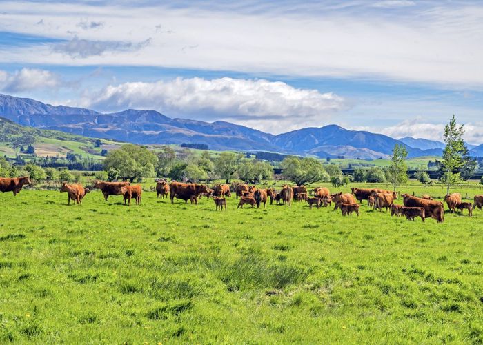  at 677 Pig Saddle Road, Sheffield, Selwyn, Canterbury