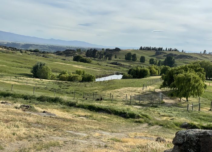 For sale Chapman Road, Alexandra, Central Otago, Otago homes.co.nz