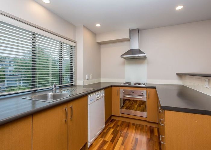  at 17 Dovedale Place, Parnell, Auckland City, Auckland