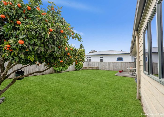 at 800 Princes Street, Parkvale, Hastings, Hawke's Bay