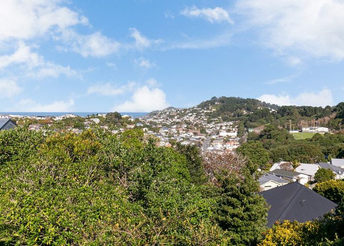  at 105 Rakau Road, Hataitai, Wellington, Wellington