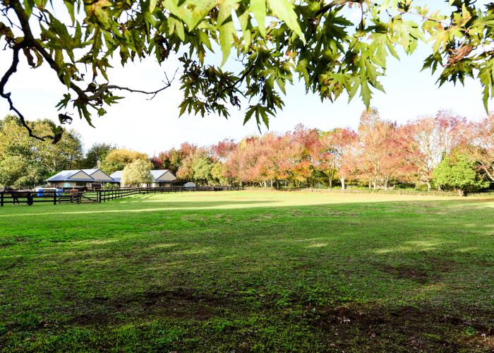  at 85A Windmill Road, Hamilton
