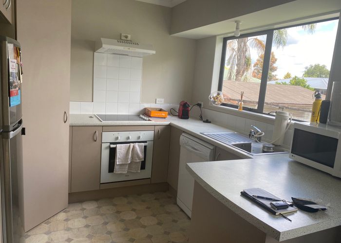  at 24B Warwick Place, Brookfield, Tauranga, Bay Of Plenty