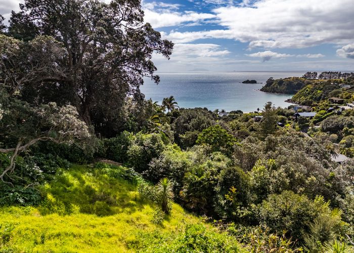  at 36 Tiri View Road, Palm Beach, Waiheke Island, Auckland