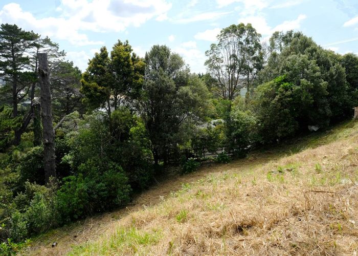  at 27A Cape Horn Road, Mount Roskill, Auckland