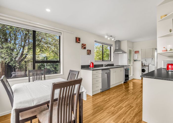  at 17 Jacaranda Place, Parklands, Christchurch City, Canterbury