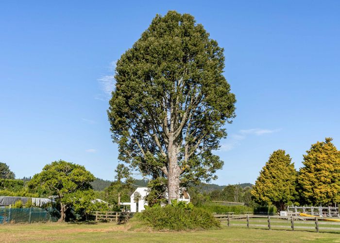  at 524 Tairua Road, Whangamata, Thames-Coromandel, Waikato