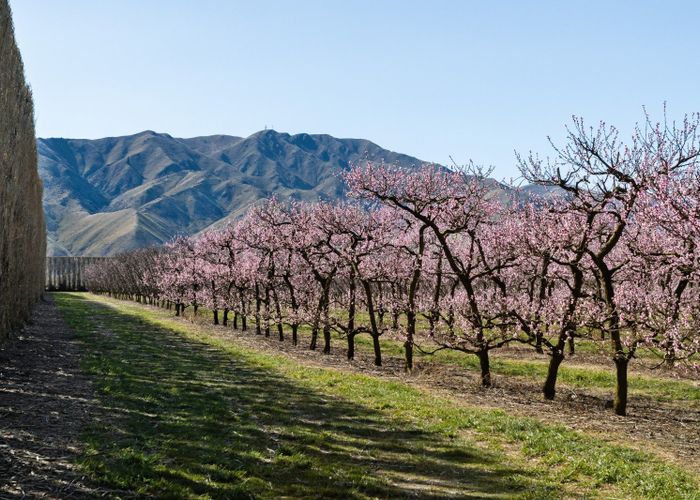  at 5221 Kurow Duntroon Road, Duntroon, Waitaki, Otago