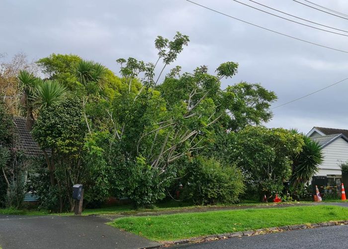  at 3 Paddington Street, Glen Innes, Auckland