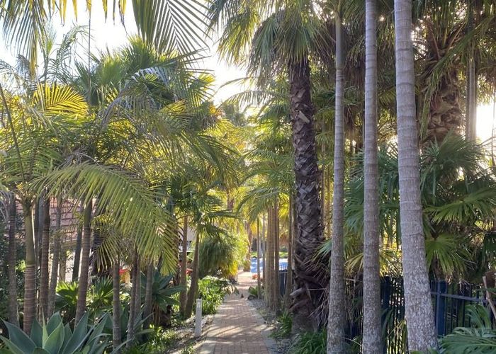  at 2/340 Gulf Harbour Drive, Gulf Harbour, Rodney, Auckland