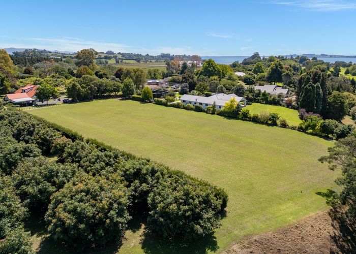  at 11b Astelia Drive, Omokoroa, Western Bay Of Plenty, Bay Of Plenty