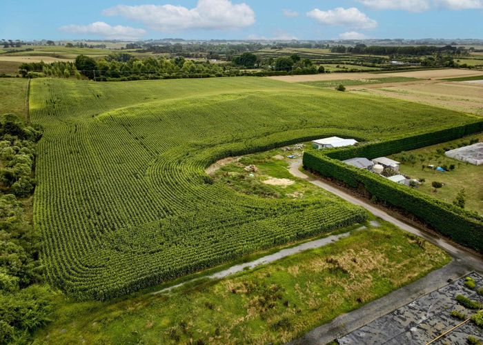  at 1200 State Highway 1, Manakau, Horowhenua, Manawatu / Whanganui