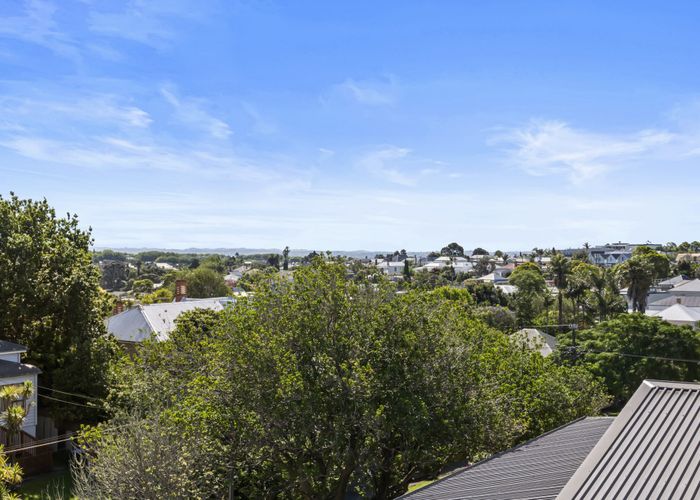  at 19B Scanlan Street, Grey Lynn, Auckland
