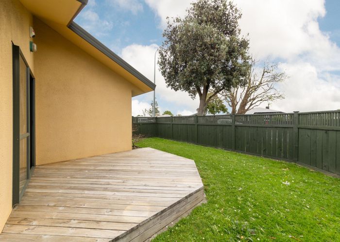  at 284 College Street, West End, Palmerston North