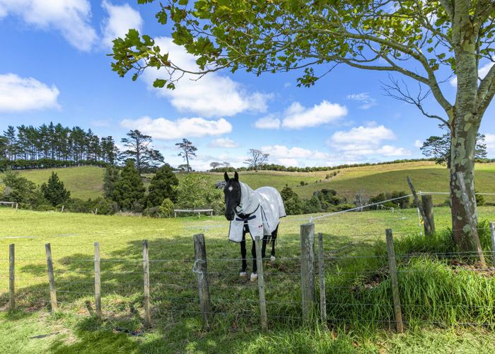  at 263 Whitehills Road, Silverdale