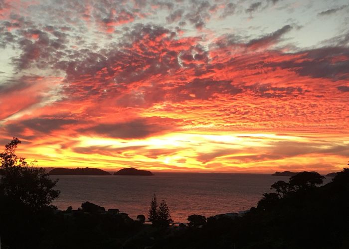  at 52 Woods Road South, Coromandel, Thames-Coromandel, Waikato