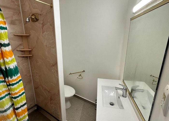  at 33 Thompson St, Mount Cook, Wellington, Wellington