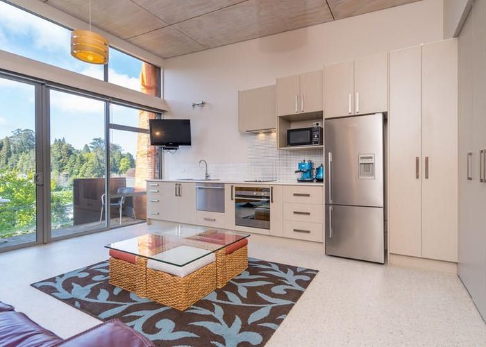  at 41/61 North Road, North East Valley, Dunedin