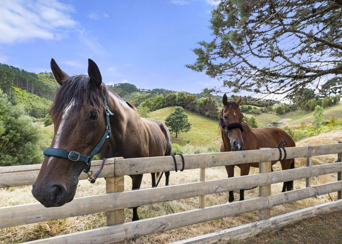  at 1007 Old Mountain Road, Waitetuna